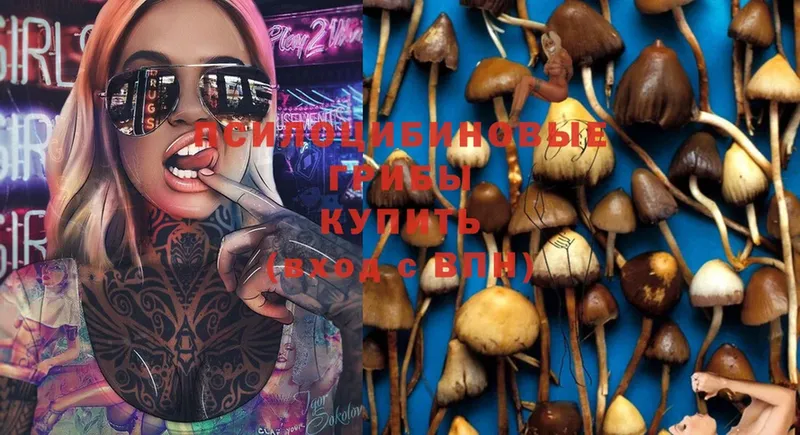 omg онион  Георгиевск  Галлюциногенные грибы MAGIC MUSHROOMS 